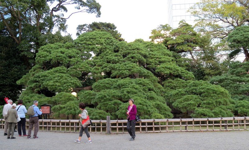 🏞️ 미나토 공원(湊公園) 이미지 5